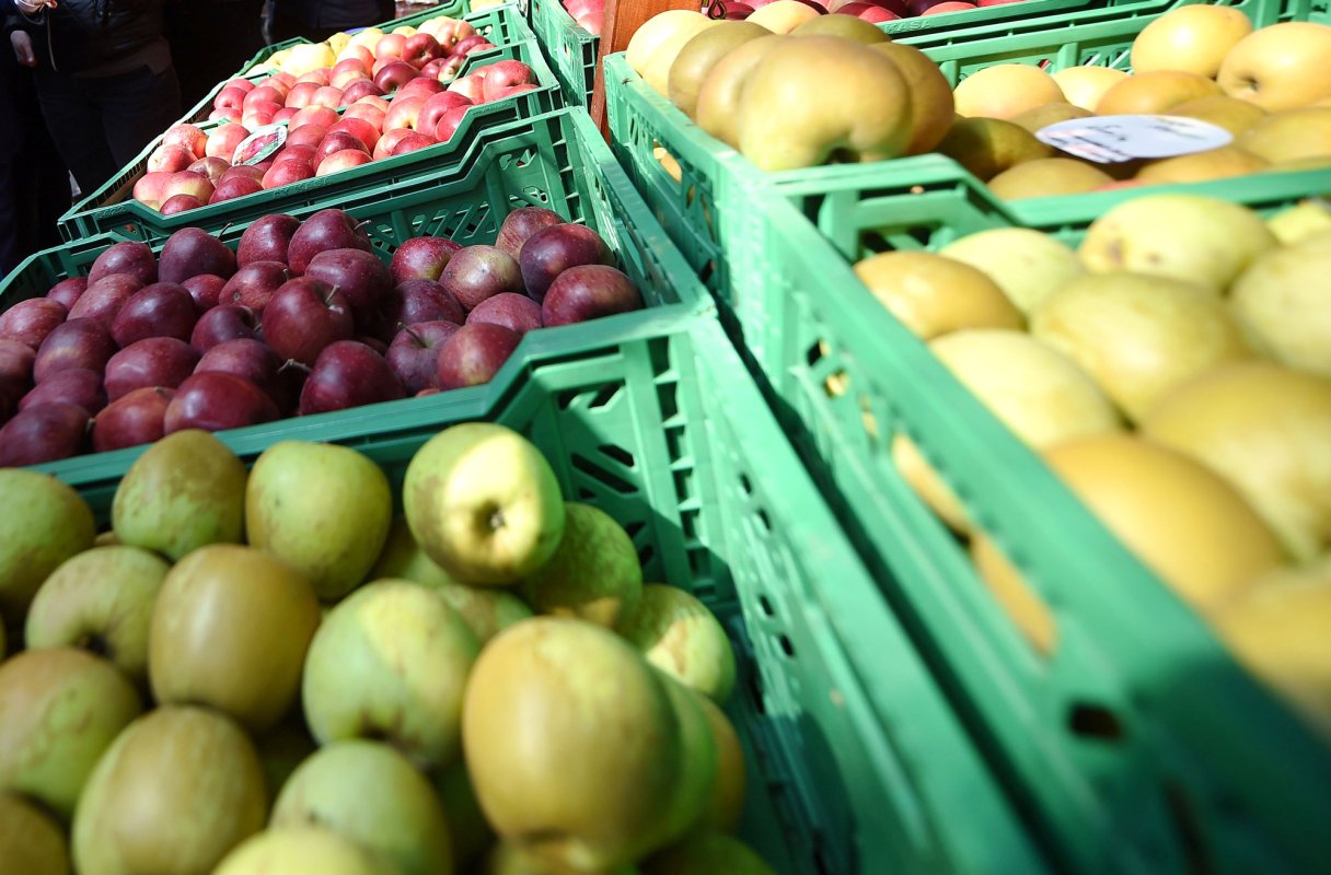 Noutăţi privind comercializarea produselor agricole 111594