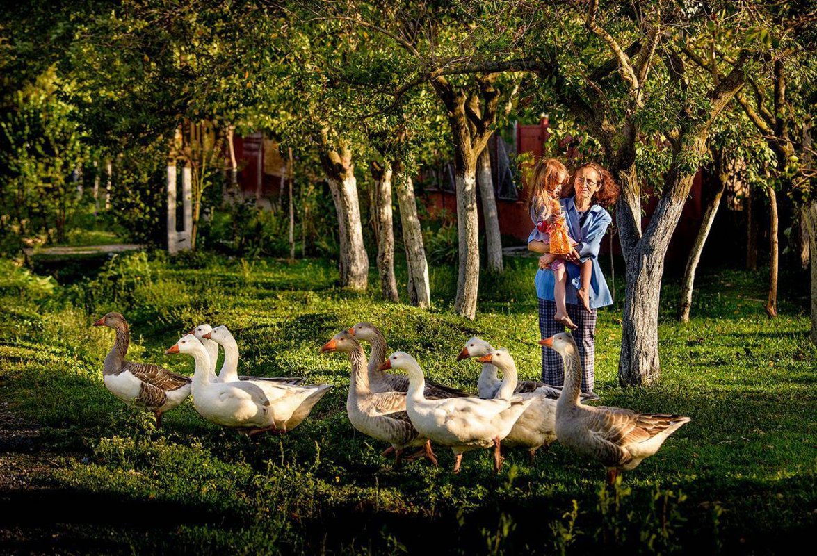 Înţelepciunea bunicilor și natura 111528