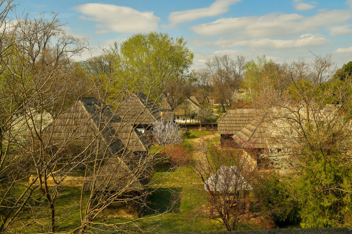 O agora de rememorare a ființei naționale 111517