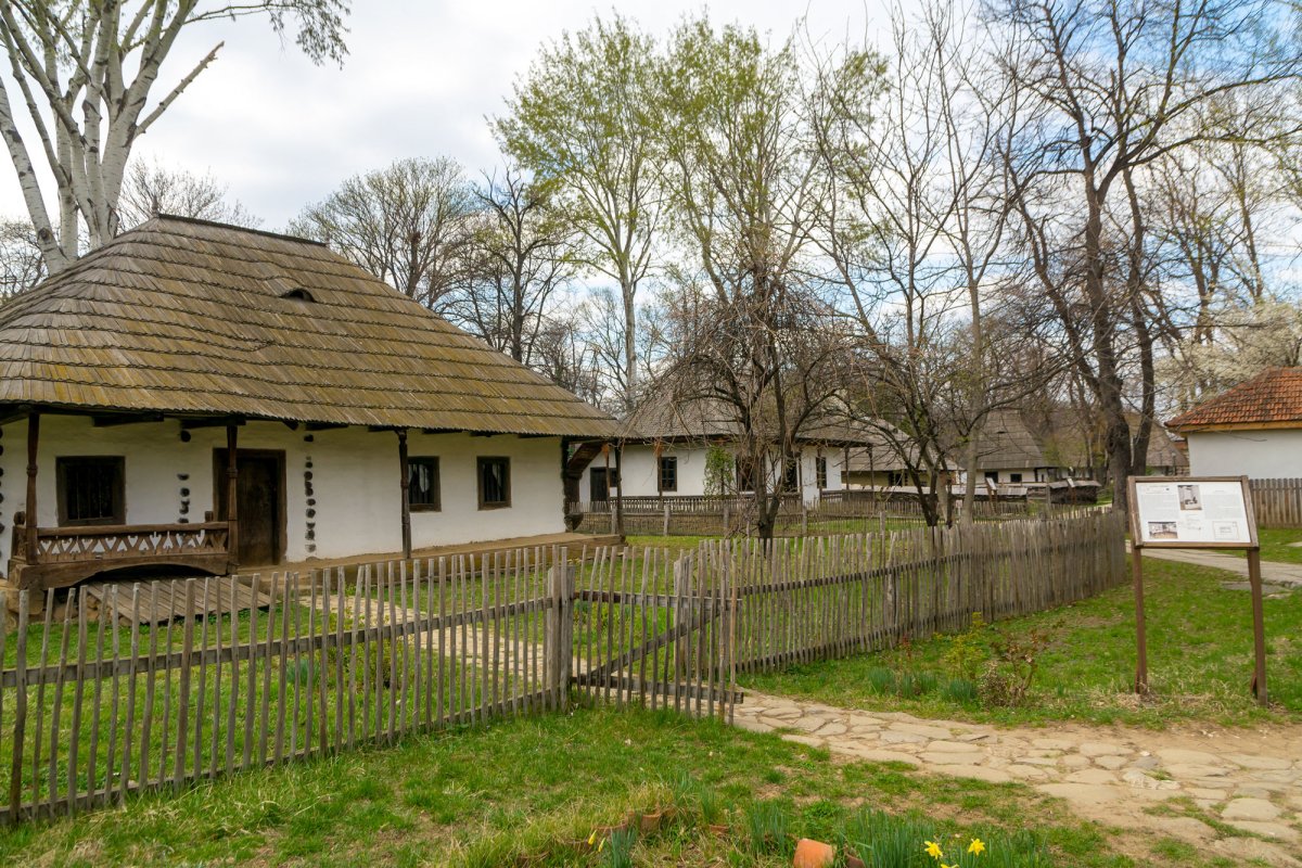 O agora de rememorare a ființei naționale 111523