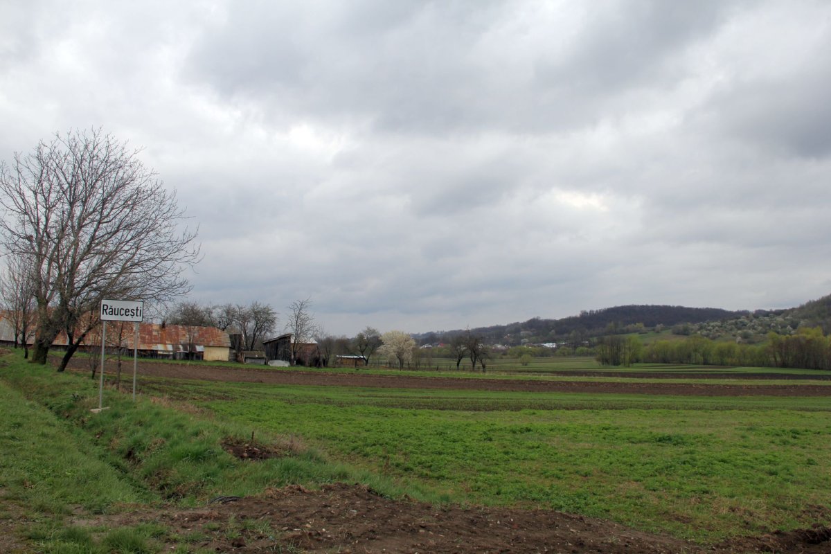 Răucești, ctitoria unui prim-ministru român atipic 111714