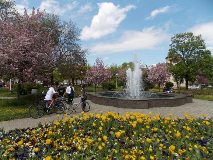 Festival culinar la Sibiu 115556