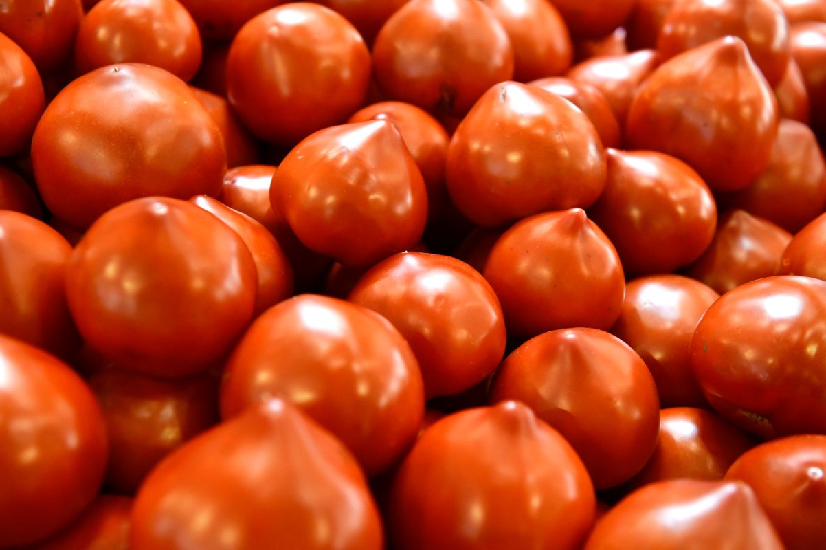 TVA redus pentru produsele bio şi cele tradiţionale 115679