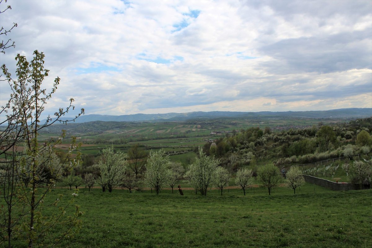 Pelerini clujeni în Sălaj, Țara Oașului și Maramureș 115909