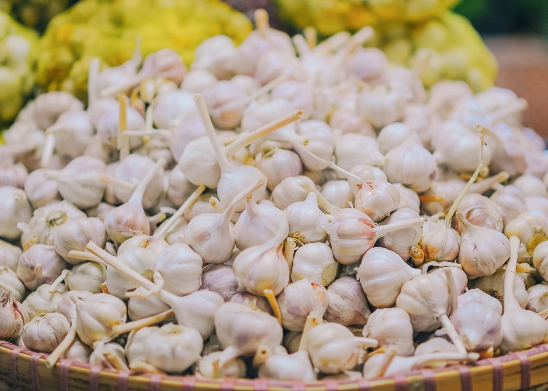 Zeci de fermieri în Programul „Usturoi 2019” 116735