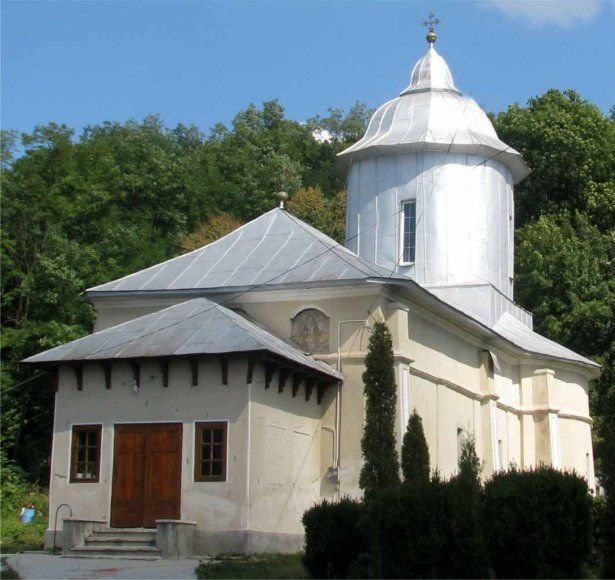 Provița de Sus, satul Mitropolitului Pimen Georgescu 117353