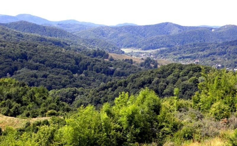 Provița de Sus, satul Mitropolitului Pimen Georgescu 117366