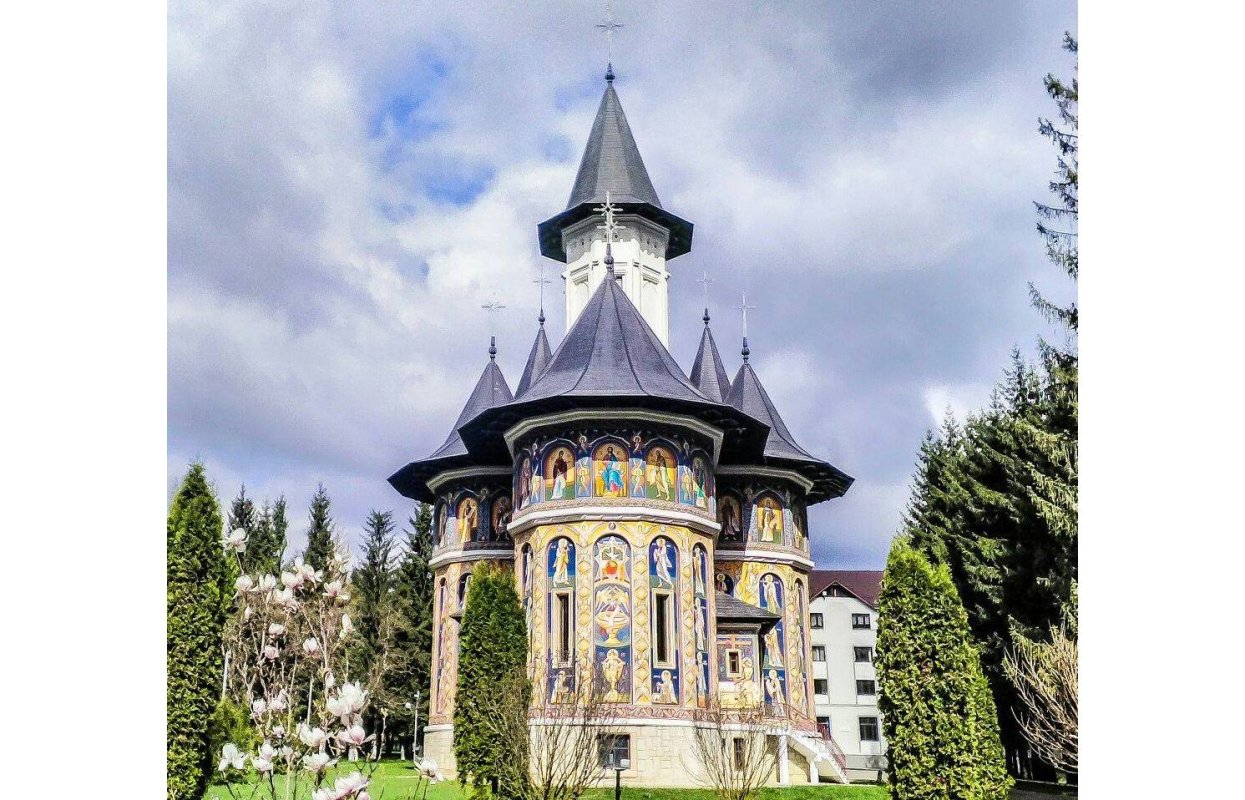 Bucuriile reîntâlnirii, recunoștință  și amintiri 118484