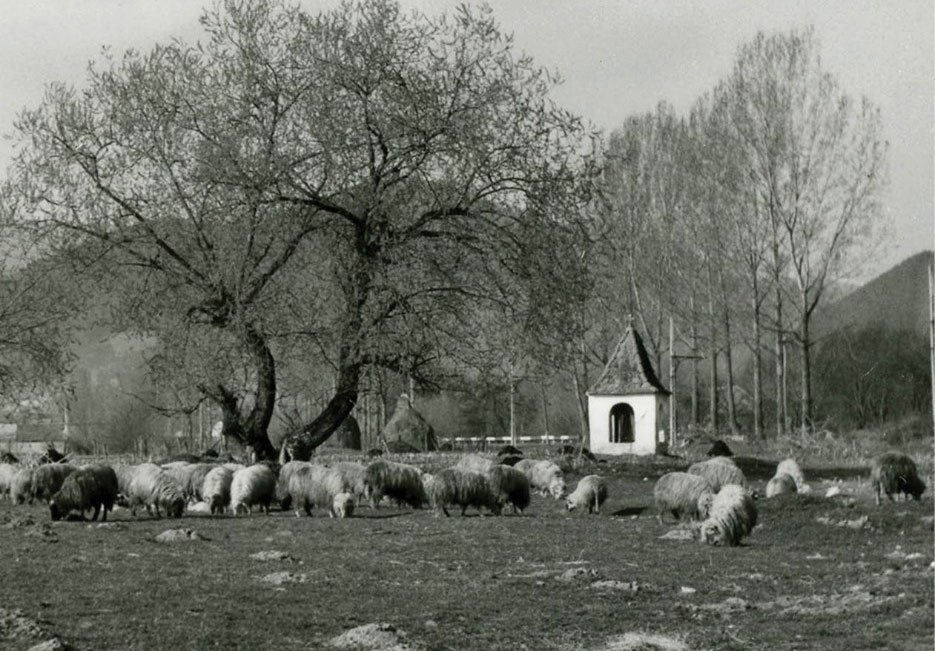 Vernisaj și lansare de carte la Rășinari, județul Sibiu 118663