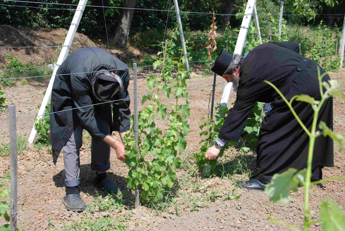 Ascultarea ascetică 118934