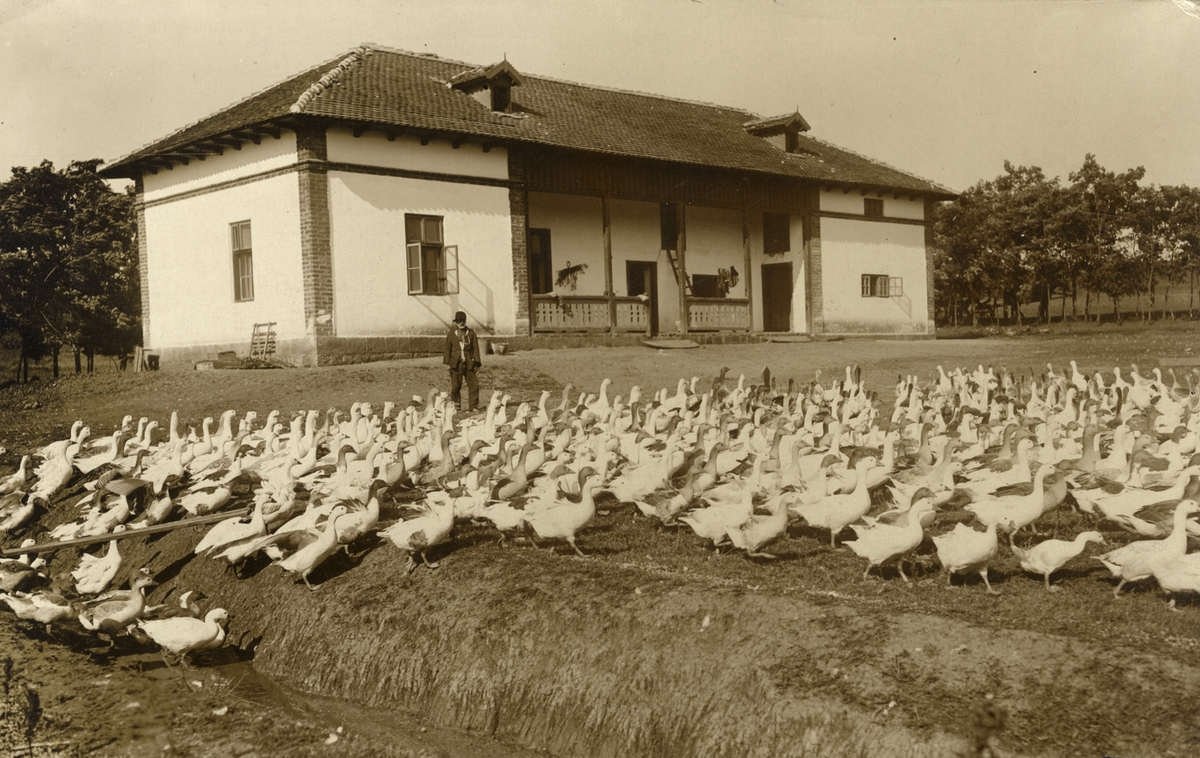 O viziune a regelui Carol I despre satul românesc 118930