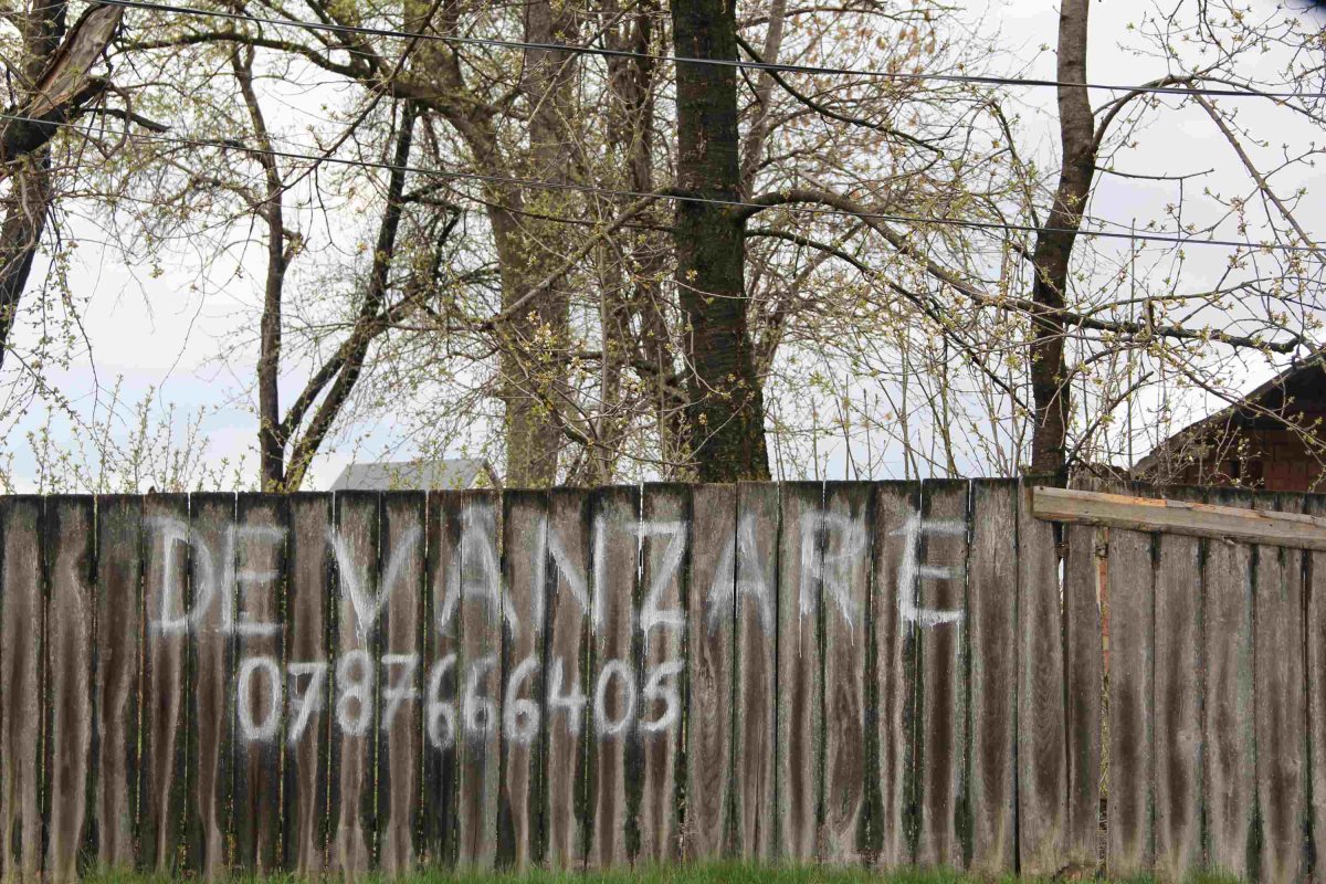 „Pământul a devenit  o povară pentru tineri” 119037