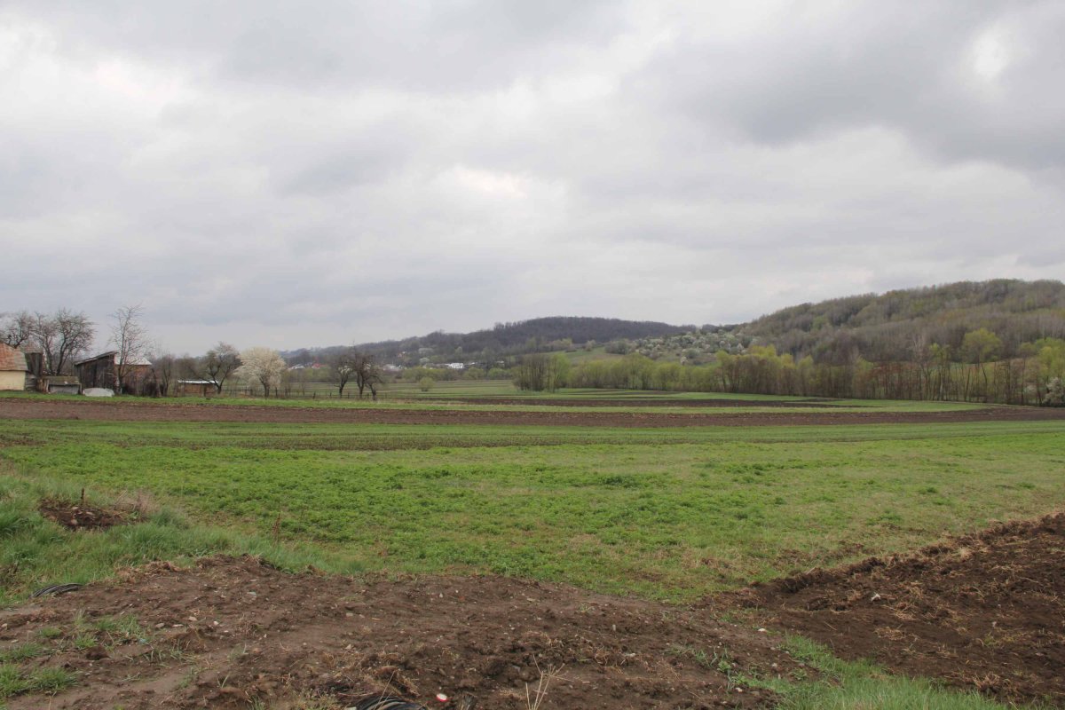 „Pământul a devenit  o povară pentru tineri” 119040