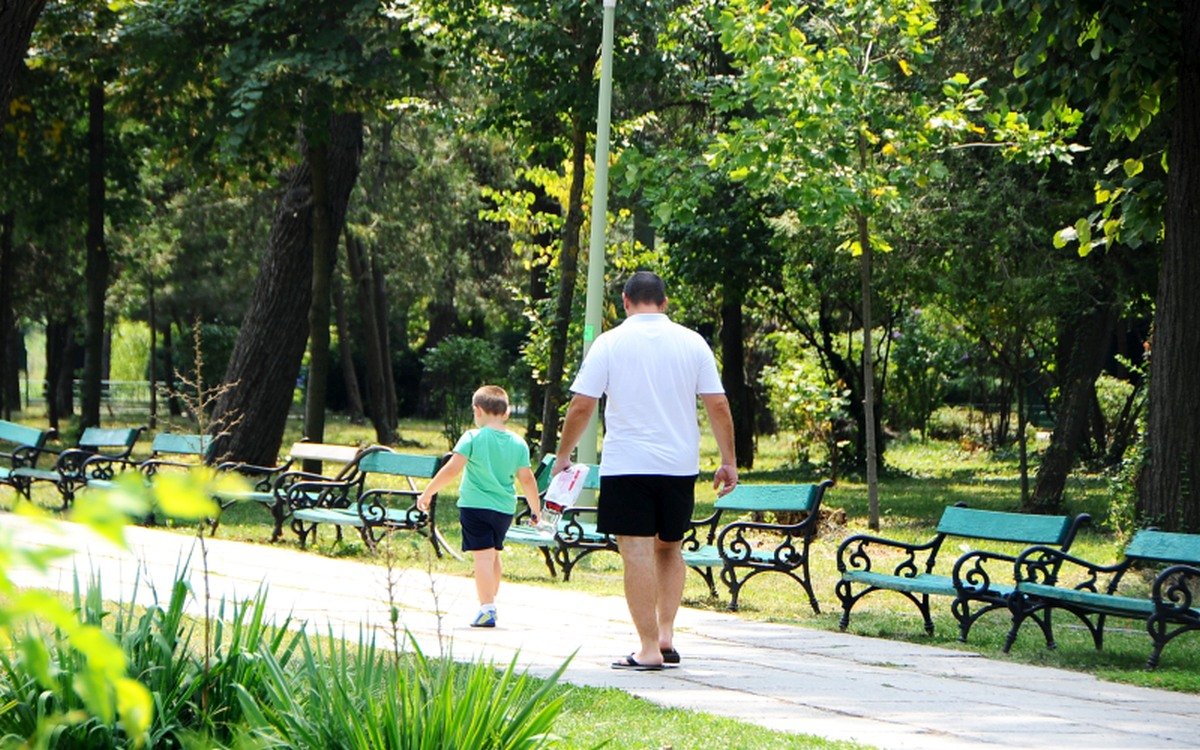 Elogiu „bunului-simț”  119093