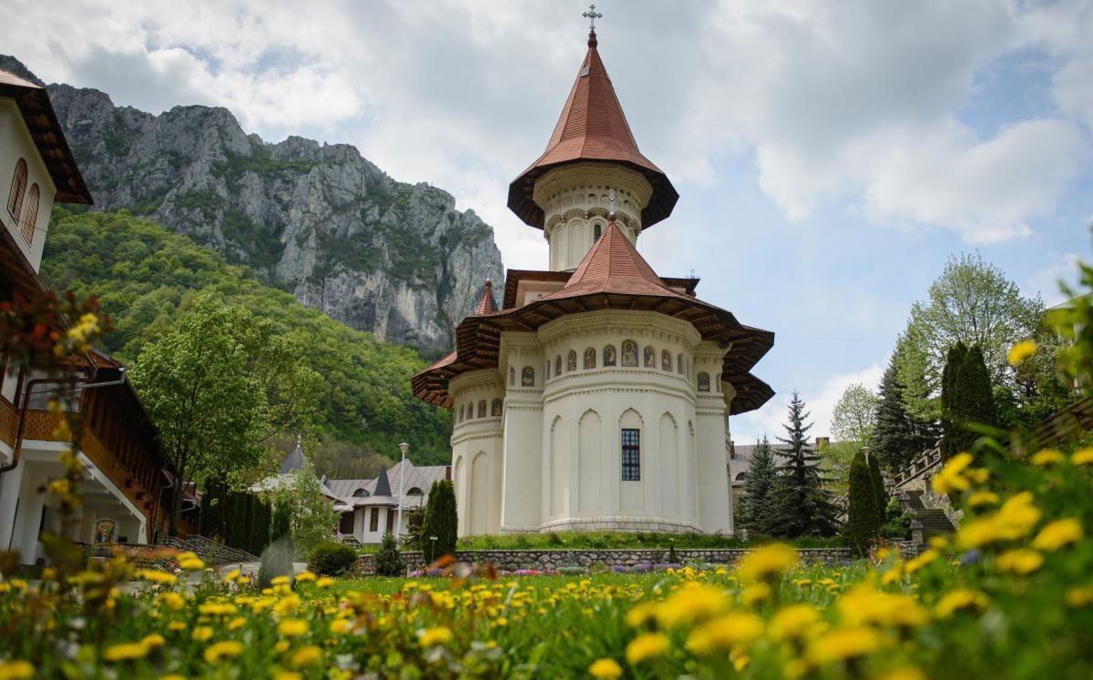 „Pelerin pentru o zi” 119108