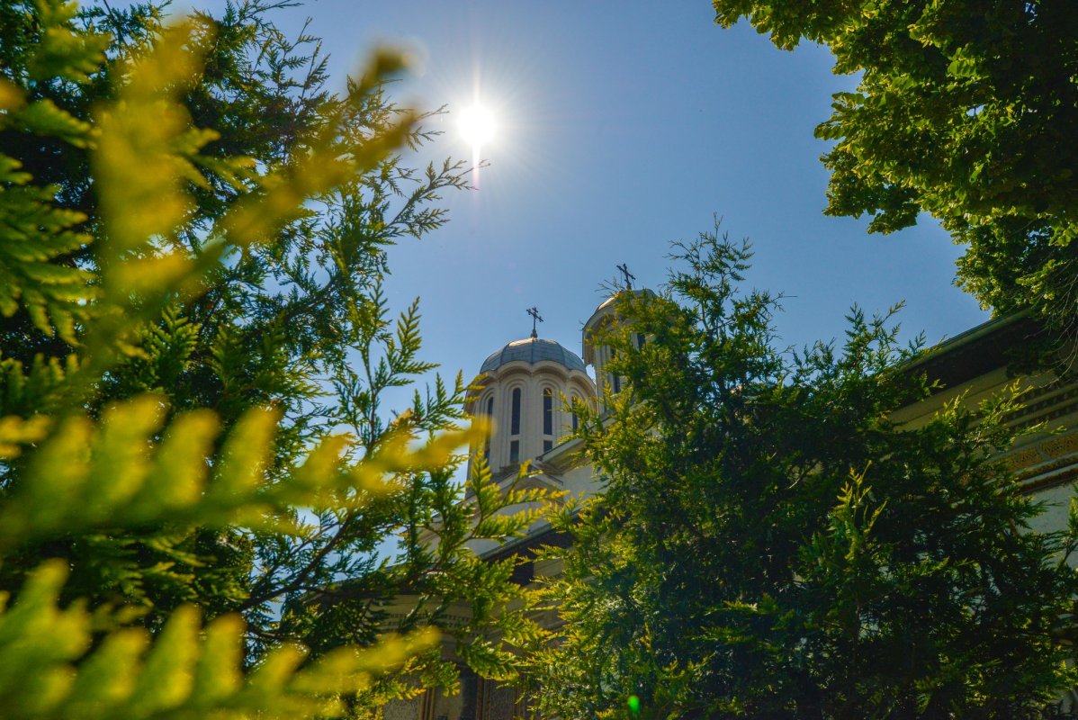 Sfântul Grigorie Dascălul, sărbătorit la Căldărușani 119258