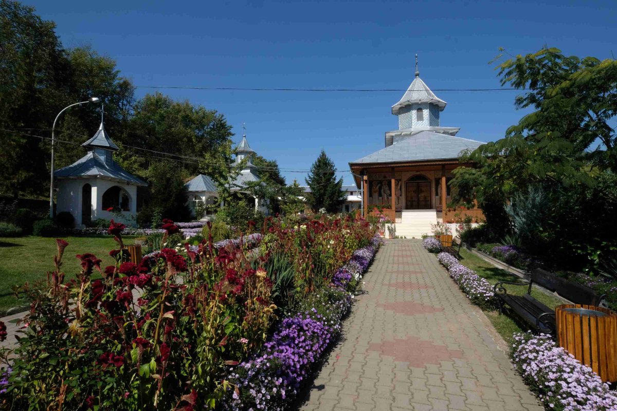 Mănăstirea Brazi, județul Vrancea 119545