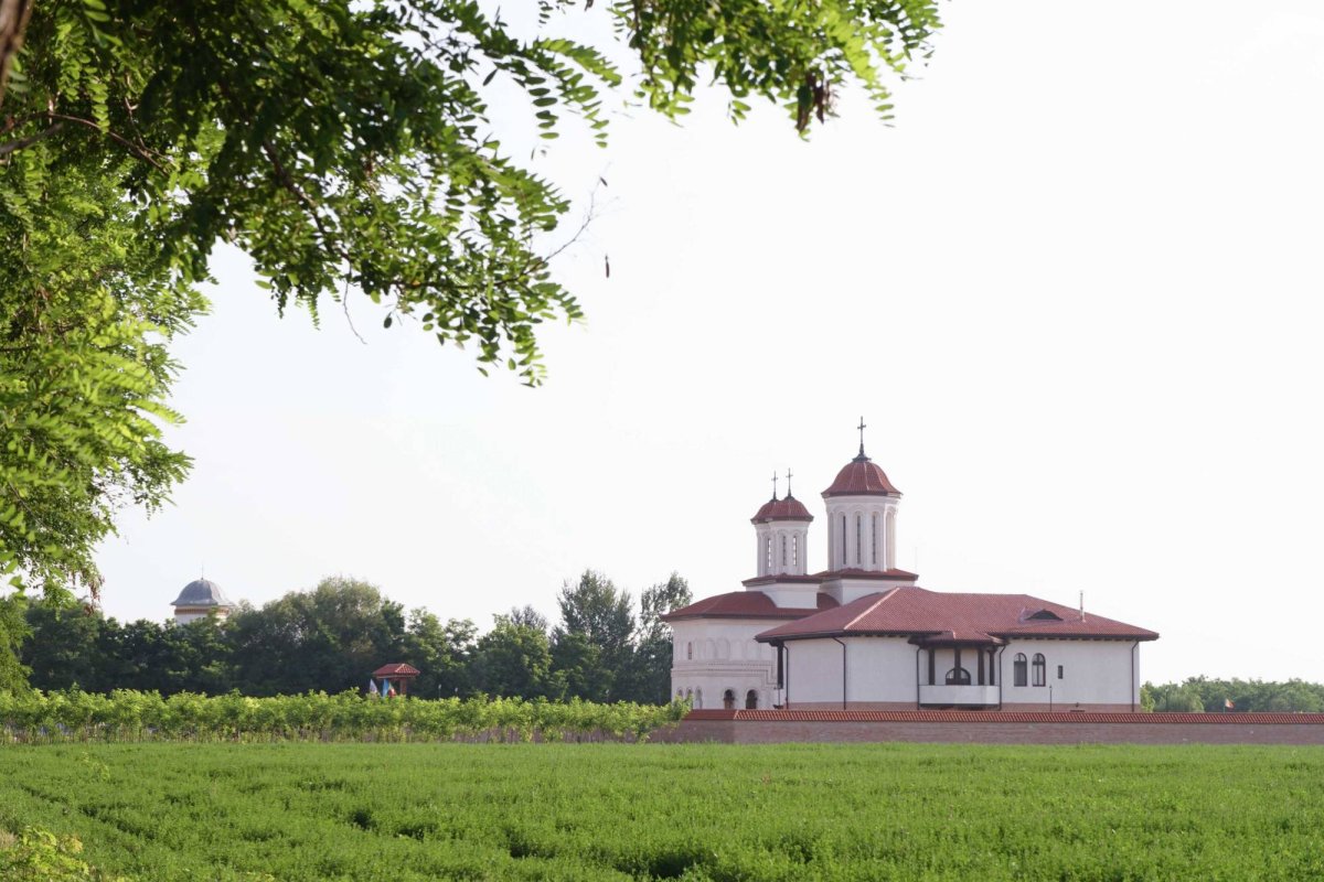 Slujiri arhierești de Nașterea Botezătorului Ioan 119527