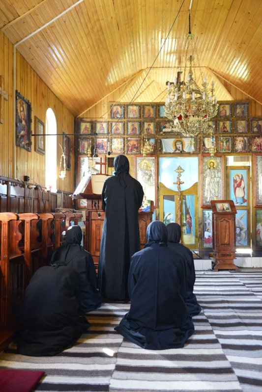 Trezvia fecioarelor 120546