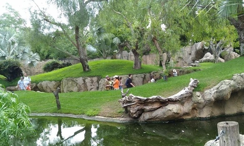 Prima tabără de vară de anul acesta a Episcopiei Spaniei și Portugaliei  120629