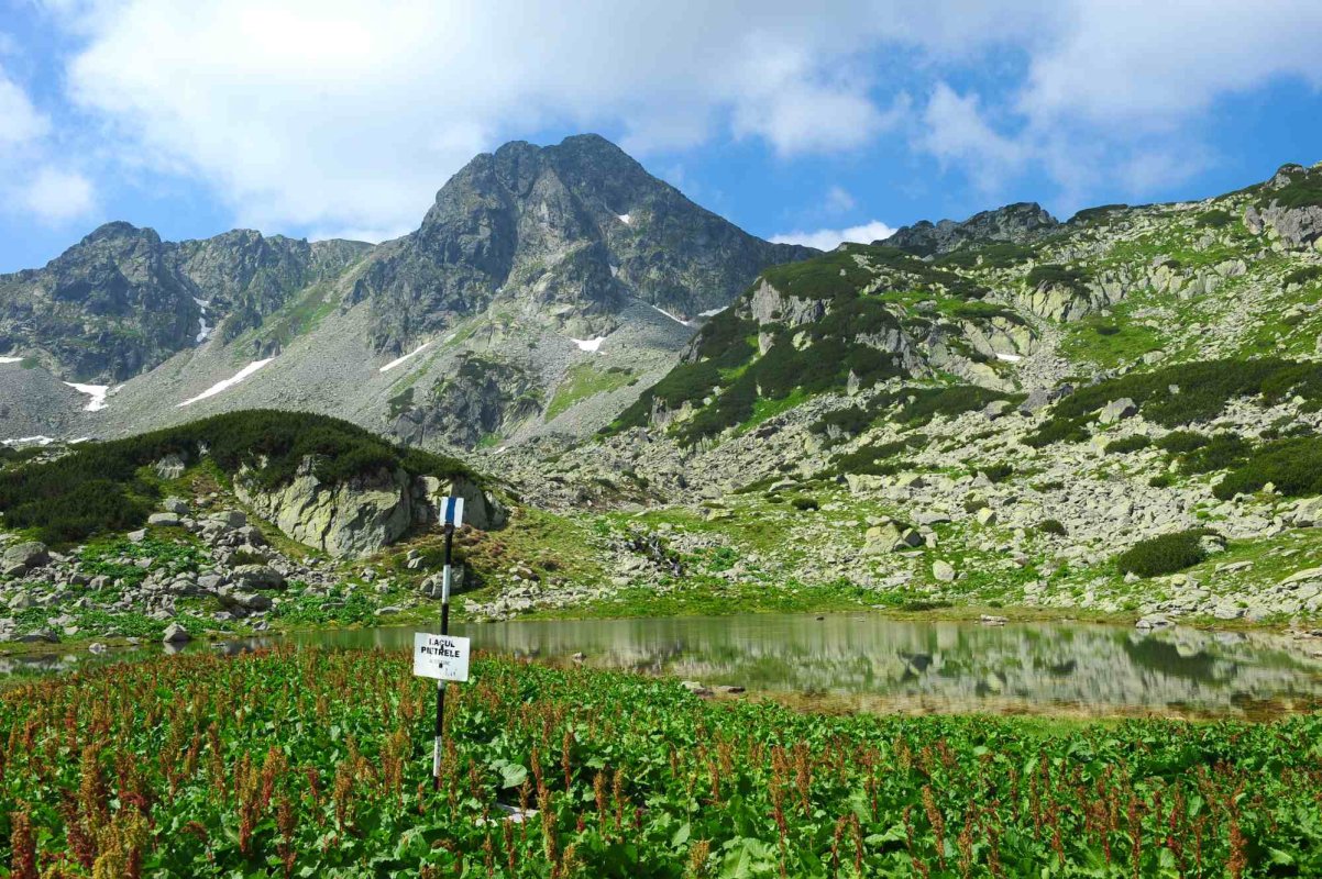 Se redeschide drumul spre Retezat 120643