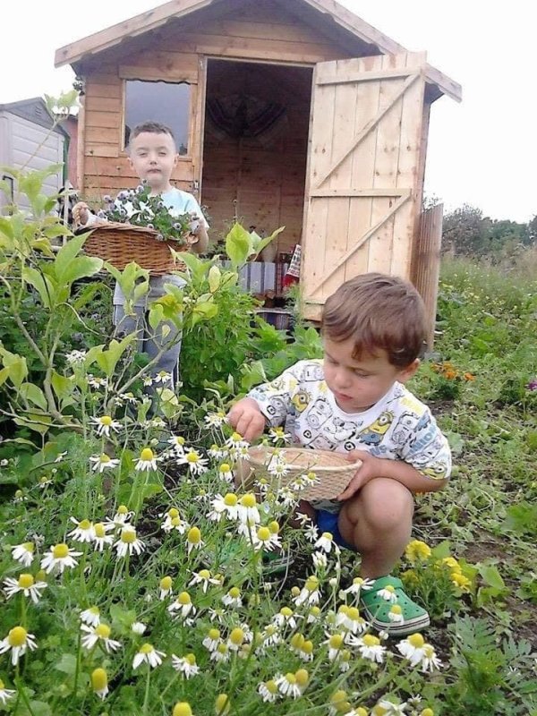 „Casa bunicilor” a croit poteci de la Darabani la Dublin 120712