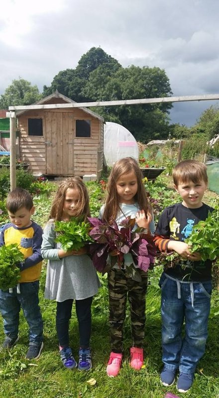 „Casa bunicilor” a croit poteci de la Darabani la Dublin 120713