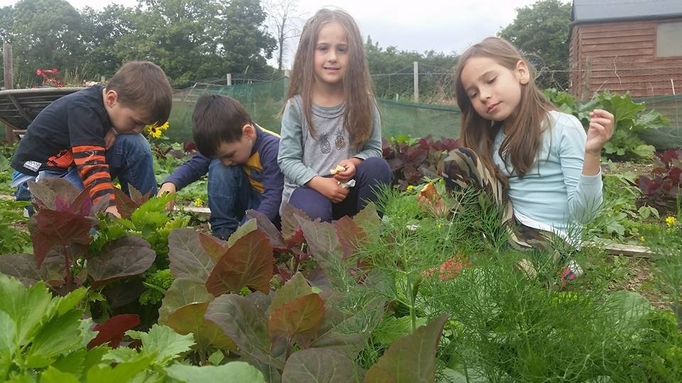 „Casa bunicilor” a croit poteci de la Darabani la Dublin 120714