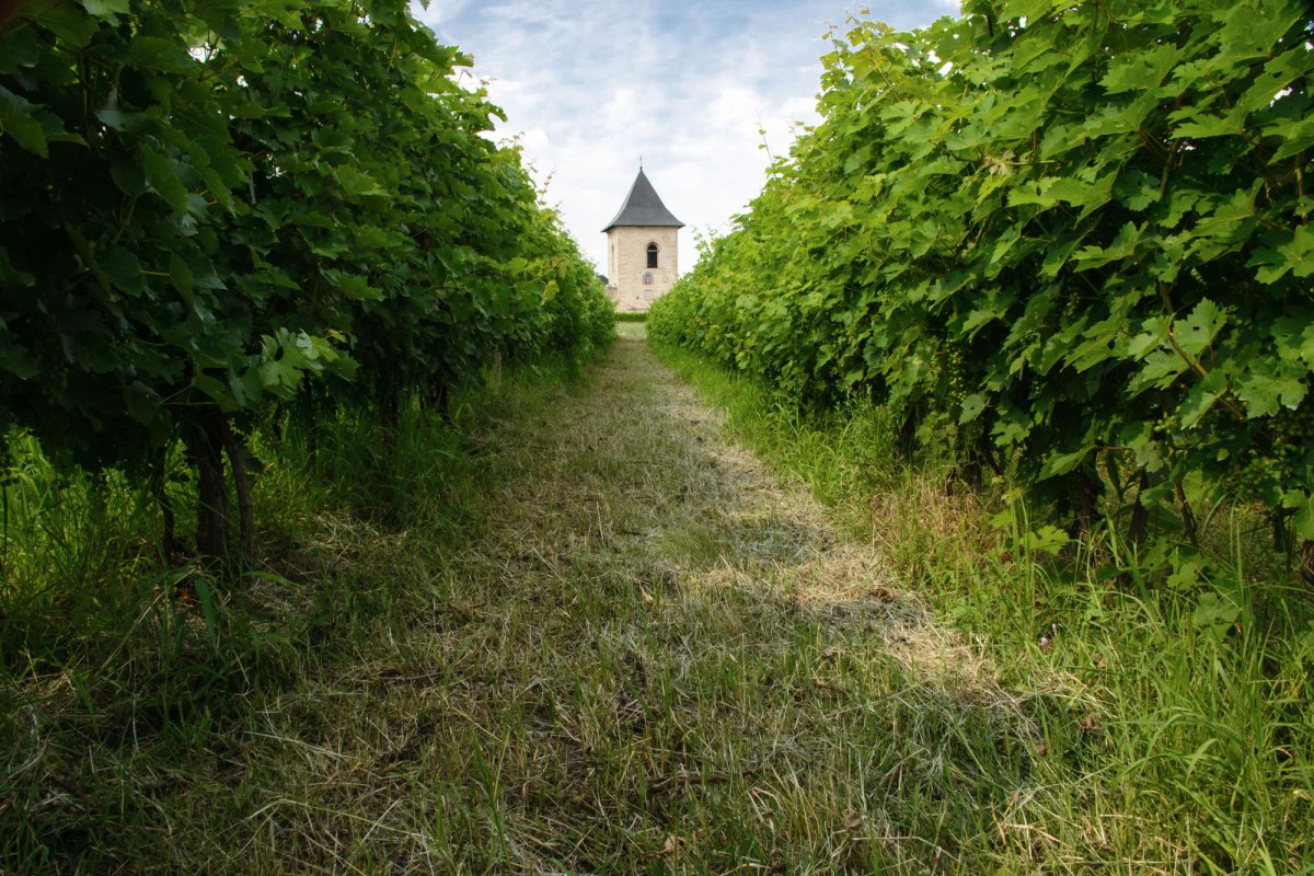 Scopul vieţii creştine şi mijloace de atingere a acestuia 120780