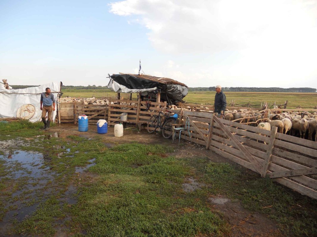 Balta Brăilei, „Arcadia” de dincolo de fluviu  121262