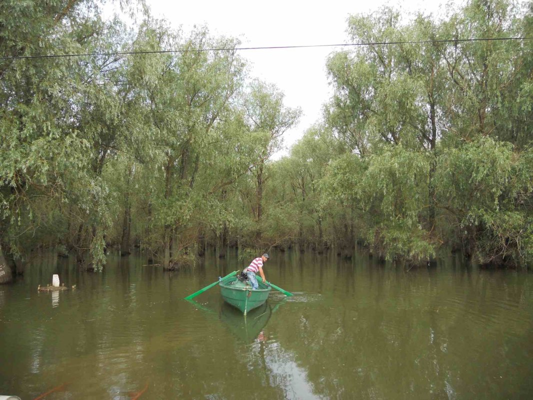 Balta Brăilei, „Arcadia” de dincolo de fluviu  121263