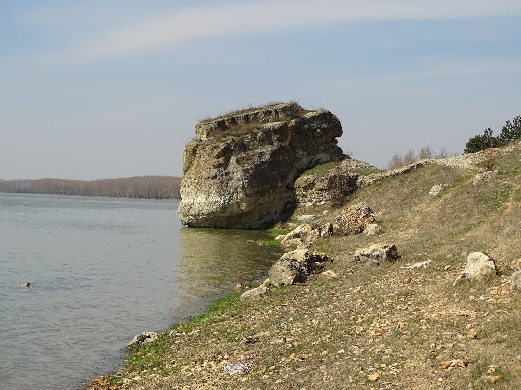 Balta Brăilei, „Arcadia” de dincolo de fluviu  121267