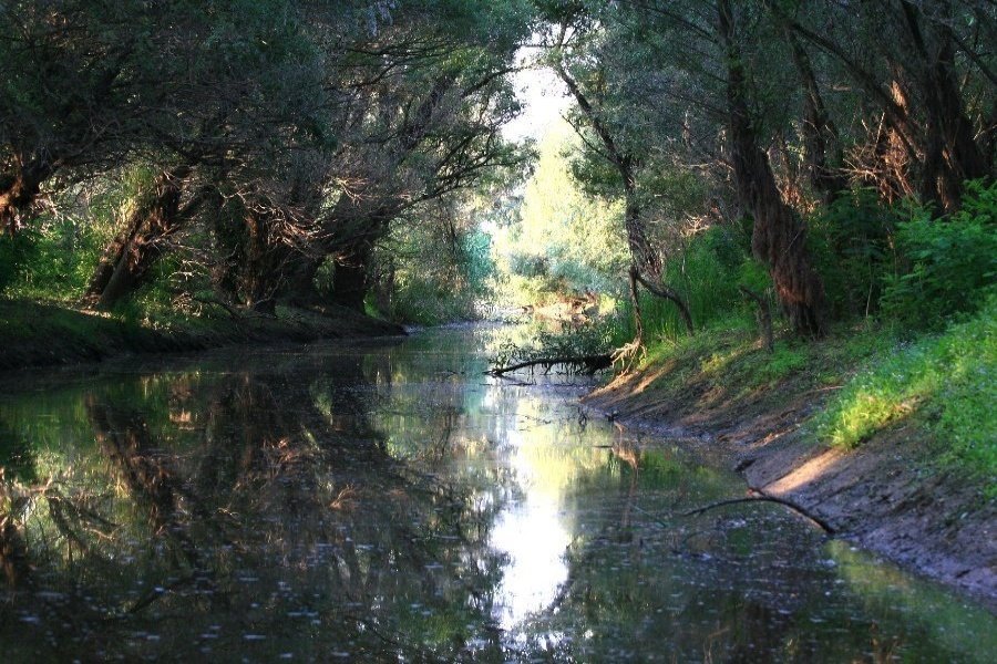 Balta Brăilei, „Arcadia” de dincolo de fluviu  121269