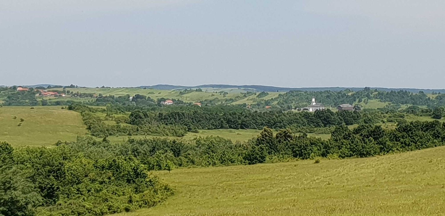 Dobreştiul Timișului, un sat mic cu oameni mari 121057