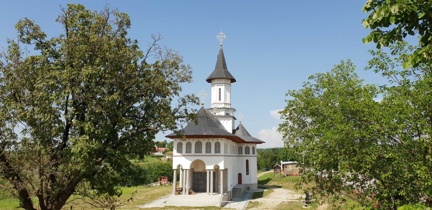 Dobreştiul Timișului, un sat mic cu oameni mari 121059