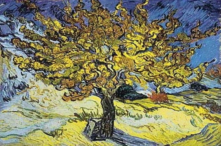 Matei 13, 31-36 121787