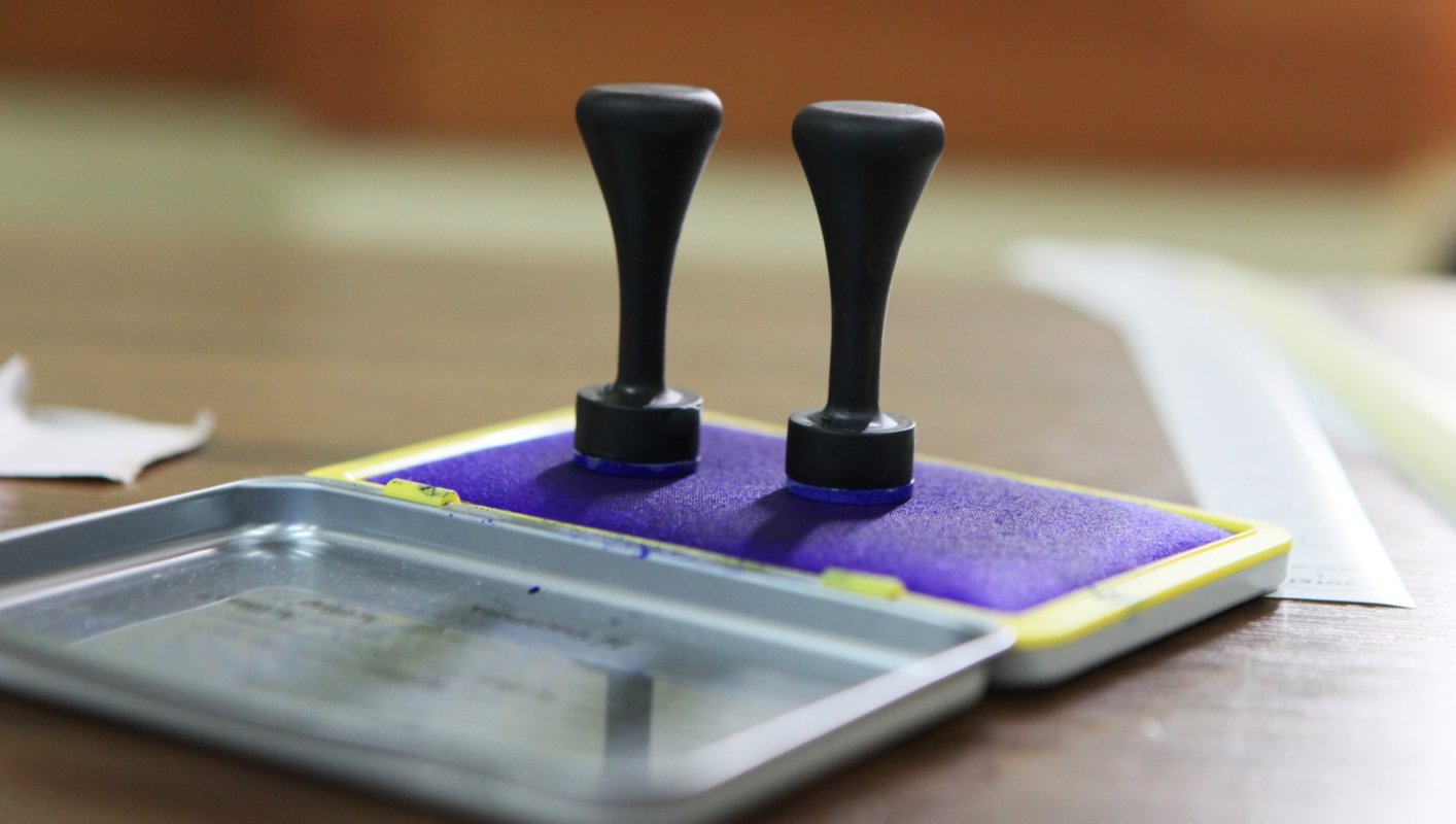 Cum se va desfășura votul prin corespondență 121986