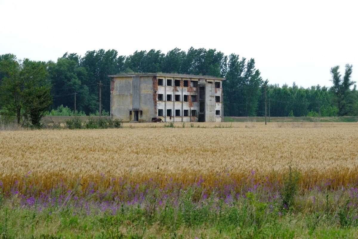 Golgota deținuților din lagărul de muncă Salcia 121700