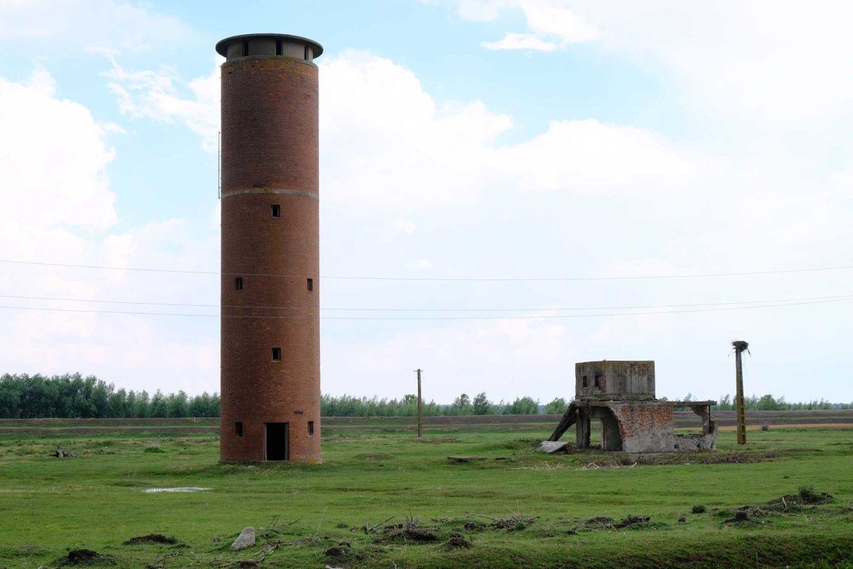 Golgota deținuților din lagărul de muncă Salcia 121701