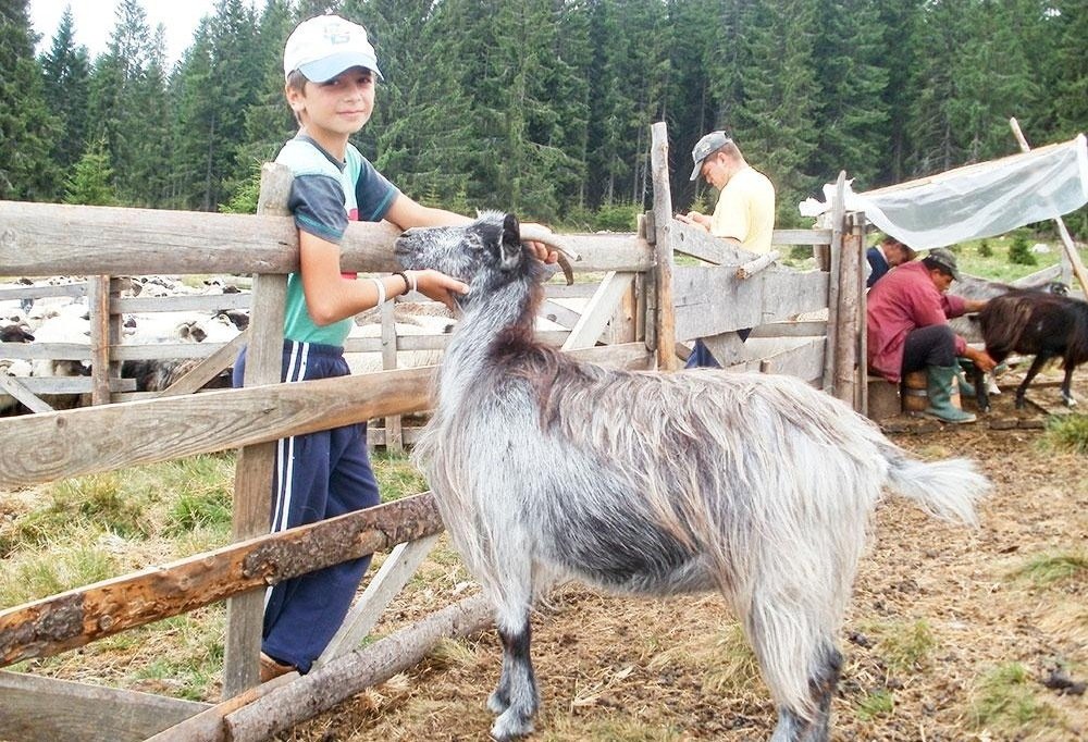 De astăzi se pot cere finanţări pentru fermele mici 122150
