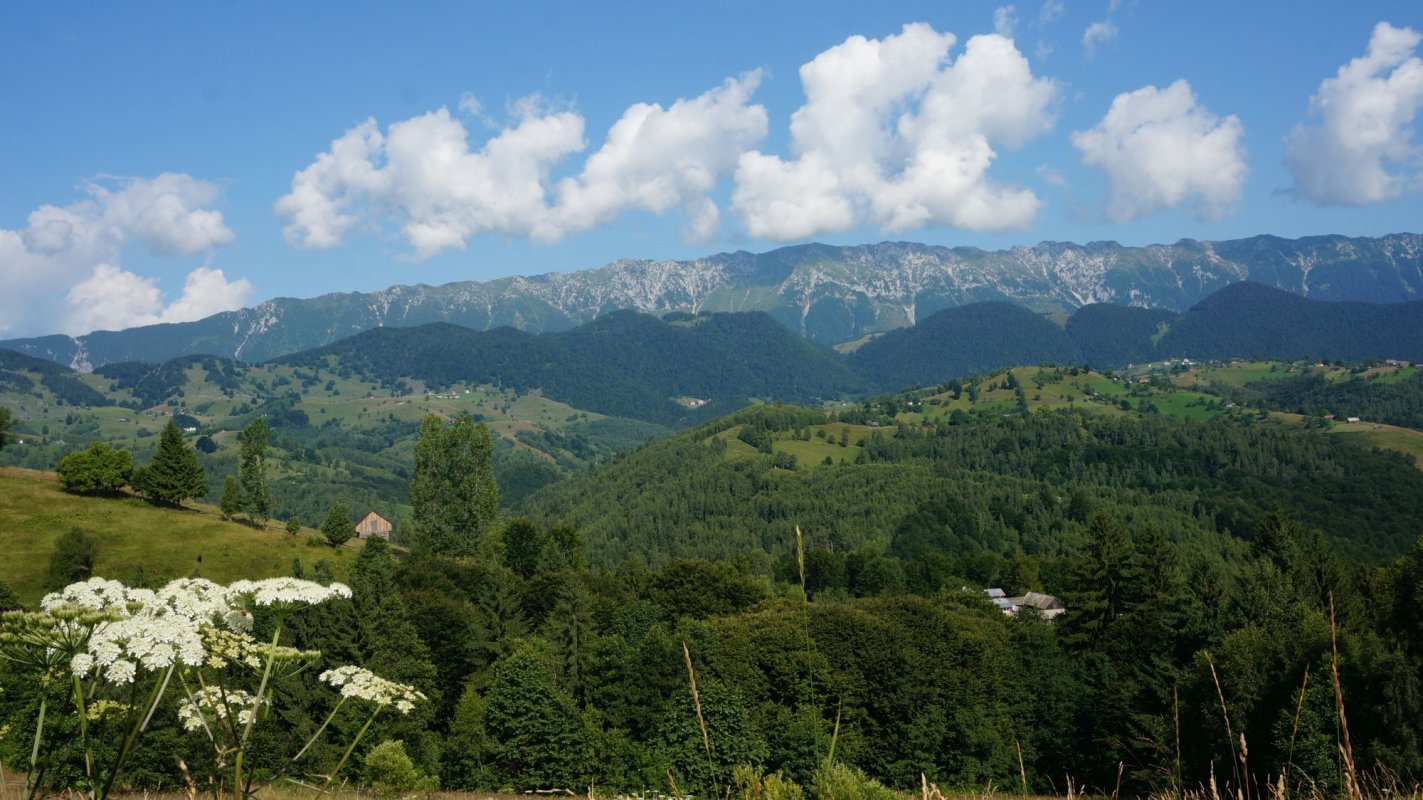 Șirnea, perlă din salba ținutului Bran 122600