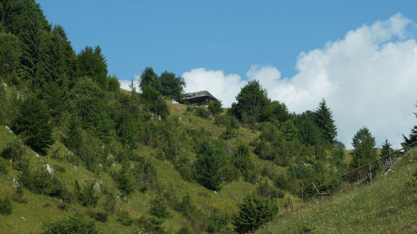 Șirnea, perlă din salba ținutului Bran 122602