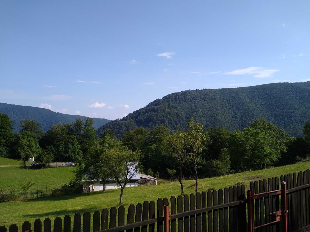 Tradiţie şi moştenire isihastă la Mănăstirea Lainici 122865