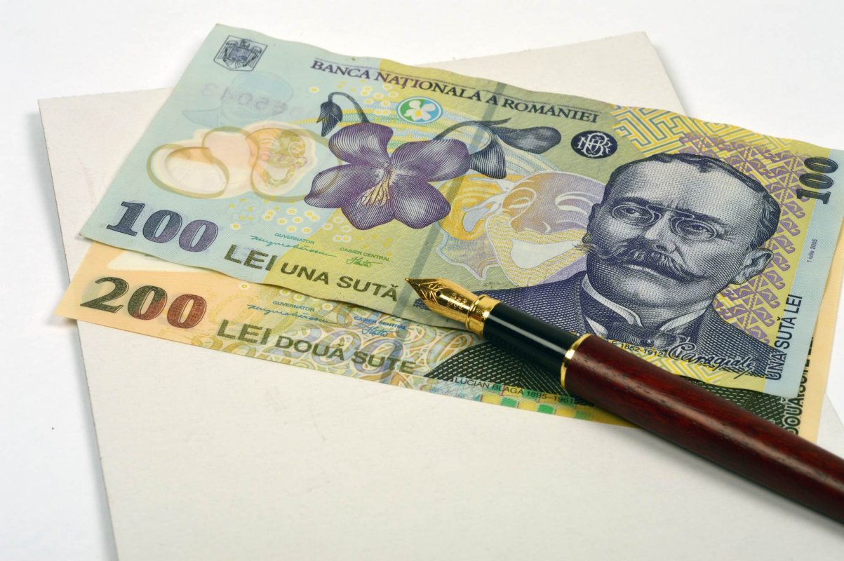 Fonduri guvernamentale pentru continuarea investițiilor 122958