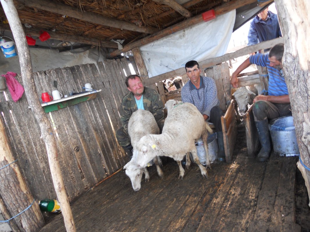 Frecăței, un sat sprijinit pe umărul Dunării 122973