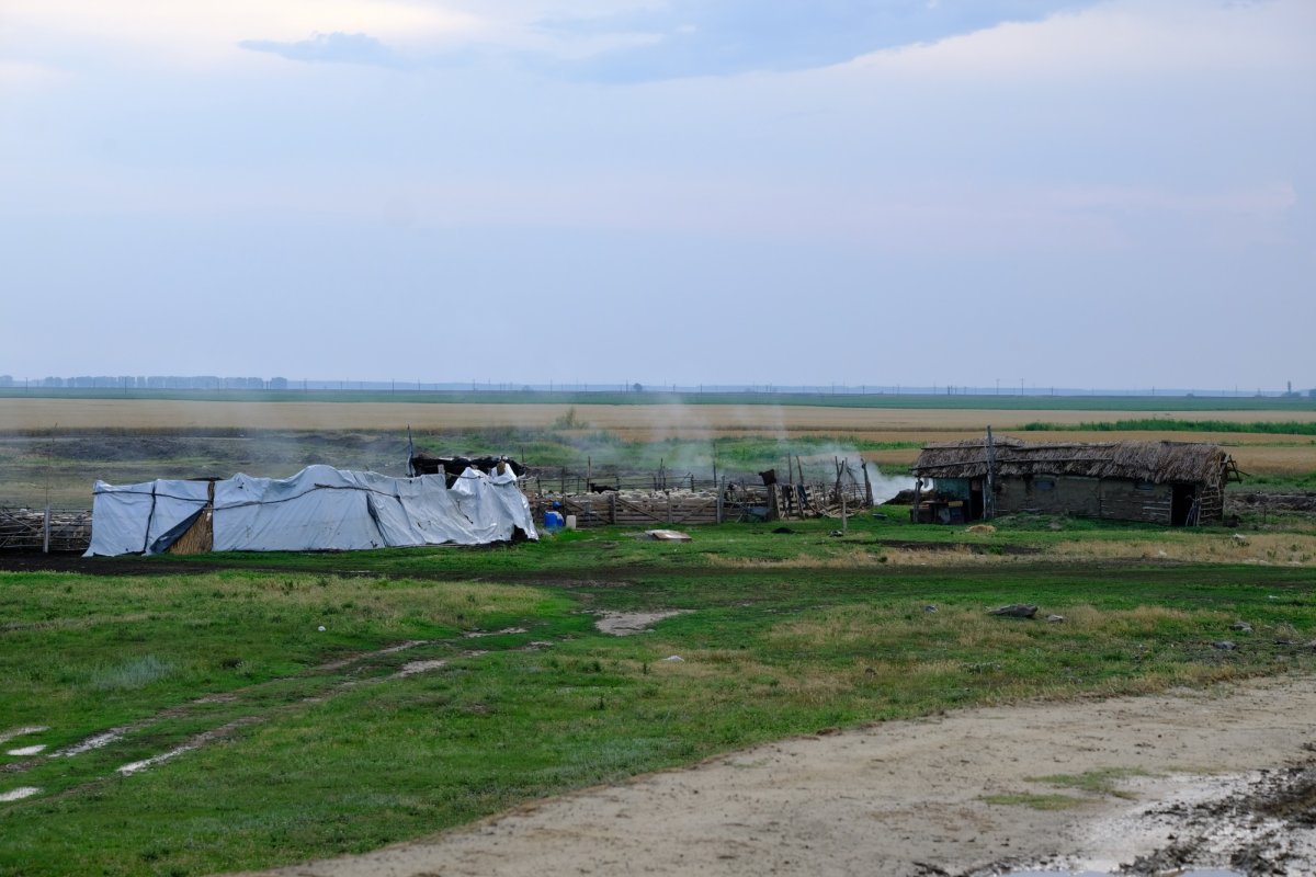 Frecăței, un sat sprijinit pe umărul Dunării 122976