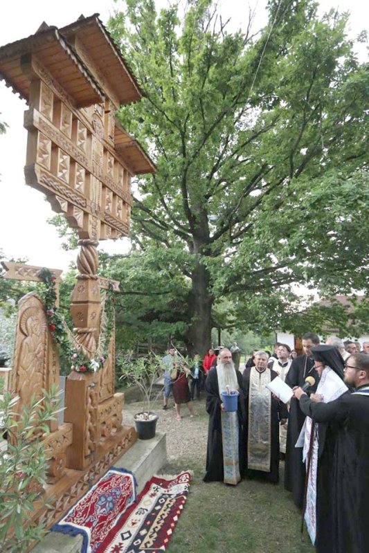 Slujba Paraclisului Maicii Domnului la Schitul Turţ Băi 123183