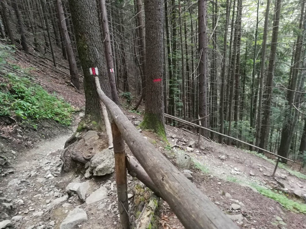 Pe cărări bătătorite de mii de paşi 123219