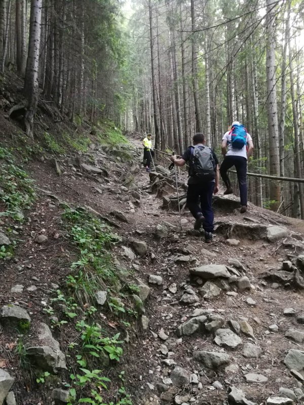 Pe cărări bătătorite de mii de paşi 123220