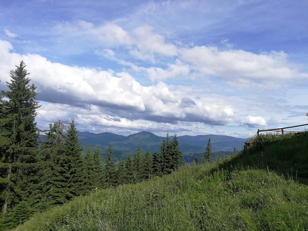 Pe cărări bătătorite de mii de paşi 123222